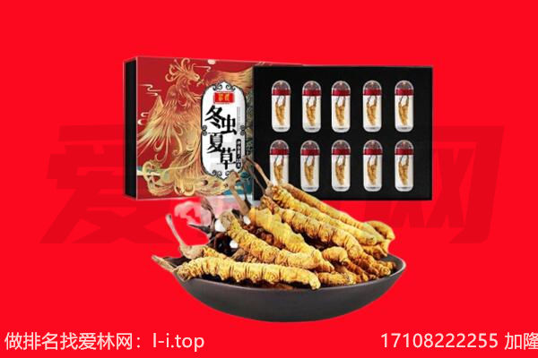 丽水市青田回收虫草.jpg